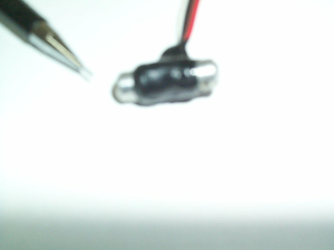 p0000961.jpg